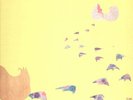 MOTHER TUCKERS YELLOW DUCK 1969 Canada psych home grown