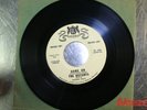 MOTOWN RARITIES THE DISTANTS Come On WARWICK PROMO 45