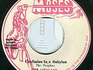 THE MESSIAHS - Confusion In A Babylon - MOSES Records