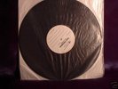 THE BEATLES PLEASE PLEASE ME MFSL TEST PRESSING