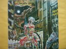 IRON MAIDEN LP  EDITION COVER PERU ROCK METAL