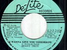 BENNY TROY I Wanna Give RARE NORTHERN MODERN SOUL 45