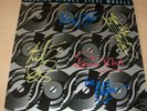 ROLLING STONES autographed signed ALBUM / LP w/COA