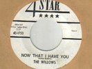 GROUP 45 WILLOWS ON FOUR STAR 1753 M-