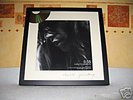 Disque d'OR de Charlotte Gainsbourg pour l'album 