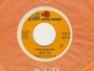 Jethro Tull  Lebanon 45 Living In The Pas