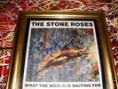 STONE ROSES SIGNED 7