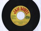 JAH MIKES/DOWN IN THE BOTTOM OF THE WELL - JAH MIKES 7