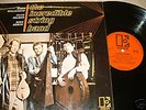 Incredible String Band - Same (UK LP '66 Ex Vinyl)