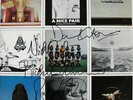 PINK FLOYD *A NICE PAIR Signed By All 4* DAVID GILMOUR