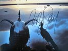 ROXY MUSIC *AUTOGRAPHED Avalon LP* BRYAN FERRY