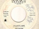 RAVEN: Calamity Jane: Dancefloor Mod-psych Fuzz: mp3s
