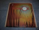 Riverson LP Canadian Folk Psych Rare Original