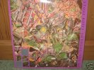 STONE ROSES So Young /Tell Me 12