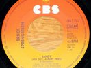 BRUCE SPRINGSTEEN  GERMAN SANDY 7