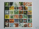 PEARL JAM - No Code - Double LP Vinyl FACTORY SEALED