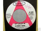 CYRUS ERiE (ERiC CARMEN) Get the Message/SPARROW DJ 45