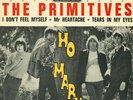 THE PRIMITIVES