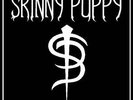 15x Skinny Puppy Vinyl LP & 12