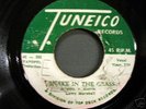 LARRY MARSHALL 45 SNAKE IN THE GRASS ON TUNEICO LISTEN
