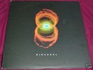 Pearl Jam Binaural LP RECORD  GREAT SHAPE