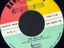 APOLLO’S APACHES-45-1966 Chicago ULTRA Garage / Punk
