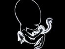 Sigur Ros 