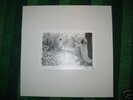 SUNN 0)) - White Vinyl 4LP Box Set, lim 500 (OPP), Isis