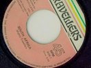 MIGHTY TRAVELLERS - SOUTH AFRICA..RARE ROOTS 45