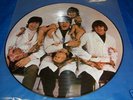 BEATLES BUTCHER COVER PICTURE DISC LP PROMO
