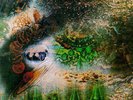 A SAUCERFUL OF SECRETS PINK FLOYD  VGC 
