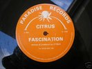 CITRUS - FASCINATION. PARADISE RECORDS. OLD SKOOL