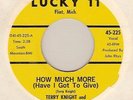 punker TERRY KNIGHT & THE PACK How Much More   LISTEN