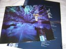 HUM 'downward is heavenward' RARE oop LP nice copy LOOK