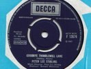 PETER LEE STIRLING 'Goodbye Thimblemill Lane' psych pop