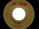 WI. Garage/Rocker- The Corals -