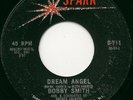 Fantastic Teen 45 - BOBBY SMITH - DREAM ANGEL - Hear It