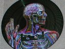 TOOL - lateralus - promo picture disc LP