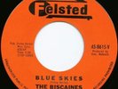 Gary Walker Brothers Scott John early single