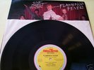 FLAMENCO FEVER - 