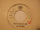 NORTHERN- VOLUMES - GOTTA GIVE HER LOVE- PROMO - LISTEN