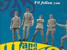 HU & THE HILLTOPS-I'LL FOLLOW YOU(ORIG.1966 LP)