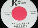 PAGE BOYS   All I Want   Texas/GARAGE/PUNK ROCK-Killer