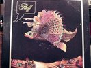 Fluff - s/t - wlp. Obscure Psych Rarity on Roulette '72