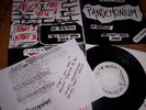 PANDEMONIUM - 1st 7