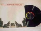 DOO WOP THE SPANIELS ON VEE JAY EARLY PRESS