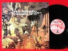 FIVE DAY RAIN 1970 UK MOD PROG PSYCH DEMO LP ROOSTER