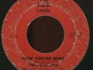 Washington D.C. Garage 45-THE BARONS  HEAR IT