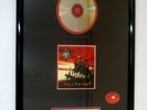 IAM - FREEMAN - PLATINE  ECOLE MICRO ARGENT