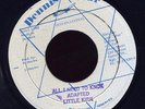 Little Kirk All I Need to Know rare JA 45 Listen